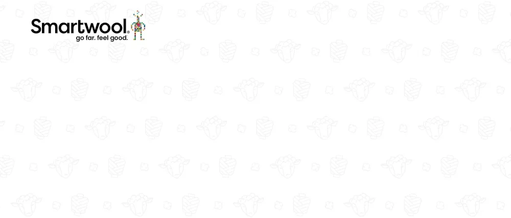 Smartwool Women Run Targeted Cushion Ankle Medium Light Gray - Smartwool merino wool apparel