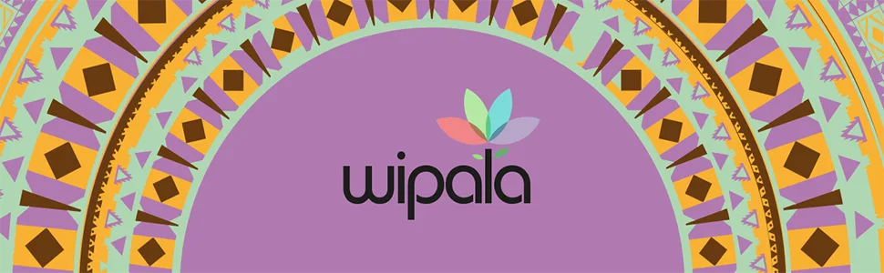 Wipala Protein Bars - Pineapple : Made with Quinoa and Andean Lupin, Vegan, Nut Free, Gluten Free, Non-GMO, 12 Pack - Wipala Snacks Quinoa Healthy products