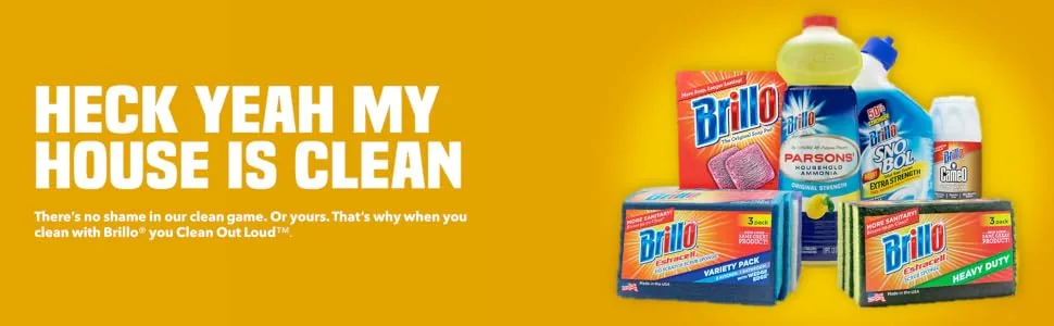 Brillo Basics Steel Wool Scrub Pads, 8-ct. Box  approved:true, notTombstoned:true, approvedNoValue:true, language_tag:en_US, value:"8 count - heck yeah my house is clean