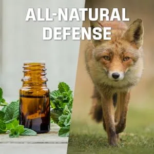 Exterminators Choice Squirrel Away - 16 OZ - Natural, Non-Toxic Defense - Quick and Easy Pest Defense - Safe Around Kids and Pets - product information 2