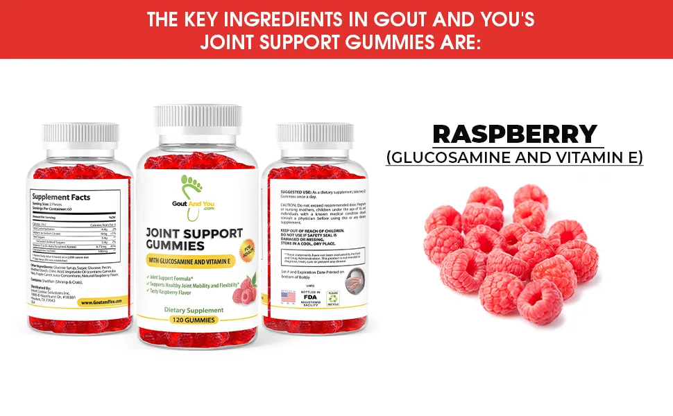 Joint Support Chewable Gummies Extra Strength with Glucosamine & Vitamin E  Natural Joint & Flexibility Support  120 Gummies - Key Ingredients of Gout and You Joint Support Gummies