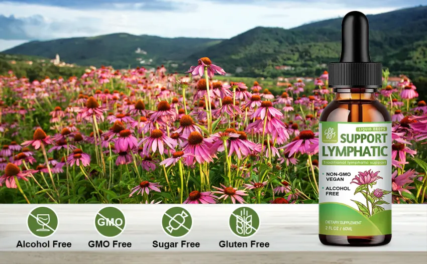 Lymphatic Drainage Support Drops, Lymphatic Cleanse Supplement for Immune Support, Natural Herbal Blend with Echinacea & Elderberry, Lymph Detox Supplement, Vegan, Non-GMO - 2 Fl.Oz - lymphatic support
