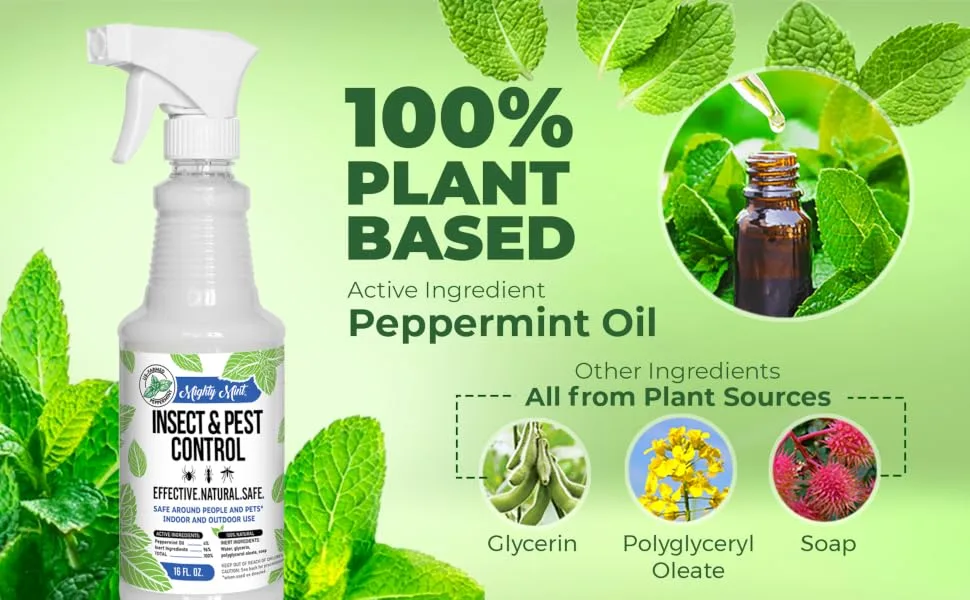 Mighty Mint - 16oz Insect and Pest Control Peppermint Oil - Natural Spray for Spiders, Ants, and More - 100% Plant-based ingredients