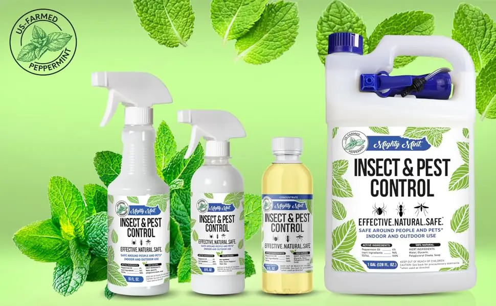 Mighty Mint - 16oz Insect and Pest Control Peppermint Oil - Natural Spray for Spiders, Ants, and More - Mighty Mint Insect Peppermint Repellent Products - 16oz, 8oz, concentrate, gallon