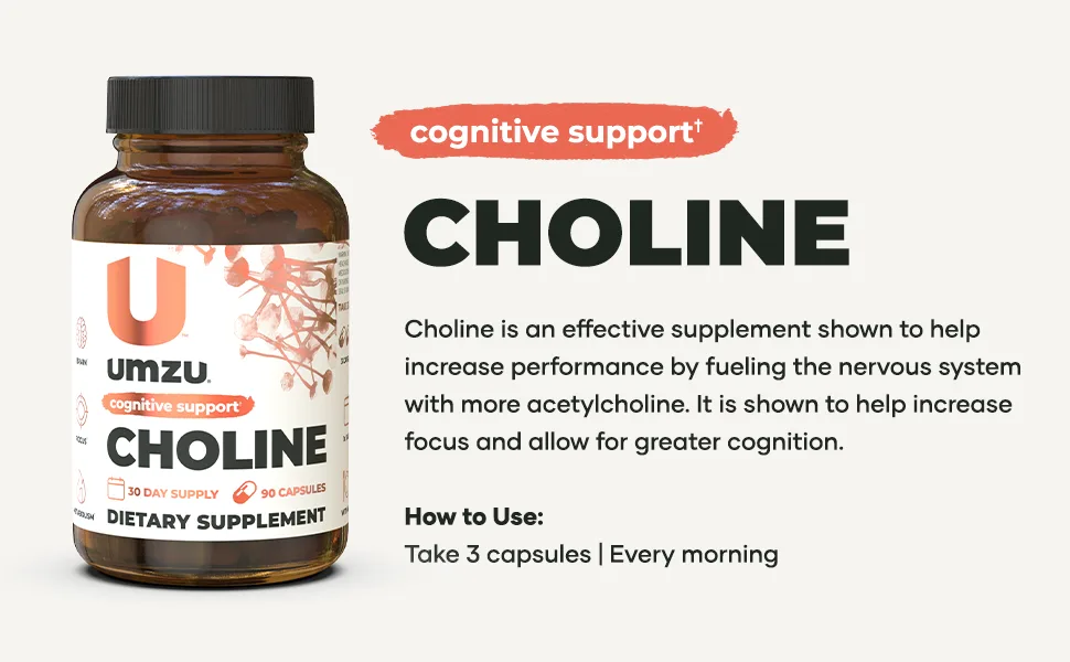 UMZU Choline - Cognitive & Hormonal Supplement to Support Cognition, Nervous System Function, Healthy Hormonal Balance, and Metabolism - (30 Day Supply 90 Capsules) - supplement brain