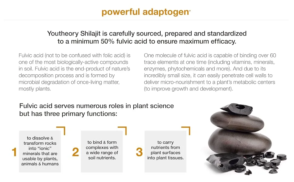 Youtheory Shilajit, Pure Himalayan Superfoood, Energy Support, 60 Vegetarian Capsules - Shilajit 60 ct Panel 3