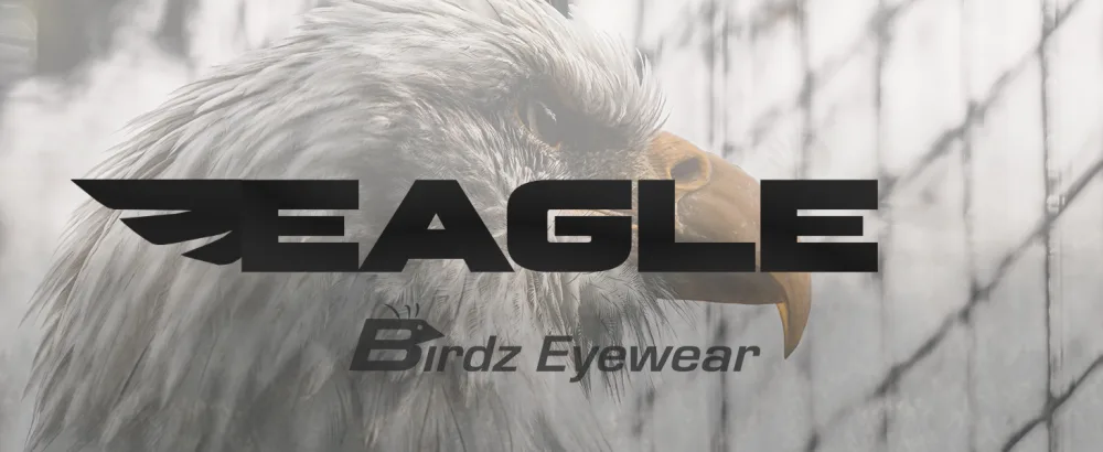 Birdz Eagle Red Baron Motorcycle Airsoft Goggles Clear & Super Dark Day Night - Birdz Eagle Padded Motorcycle Goggles