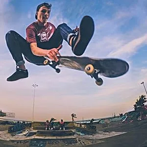 Heady Shake Pro Skateboard Bearings - Fastest Premium 608rs Titanium - Longboard, Skate Board, Kick Scooter, Inline and Roller Skates, 8-Pack Jackpot - Street skateboard bearings
