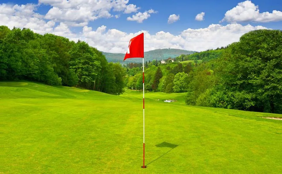 HOW TRUE Golf Flagsticks, Flags Hole Pole Cup Set, Portable 5 Section Practice Golf Pin Pole Flags for Yard Garden Training - Golf Flagsticks Pro