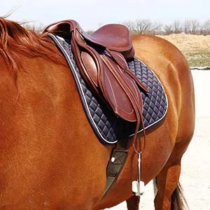 One Stop Equine Shop BasEQ Diamond Quilted Saddle Pad with Piping Navy/White - Image looking from the shoulder to the back of a horse wearing the saddle pad and a saddle