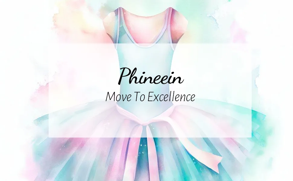 Phineein Girls Short Sleeve Team Basic Leotards For Kids Black 4-6 Years - product information 10