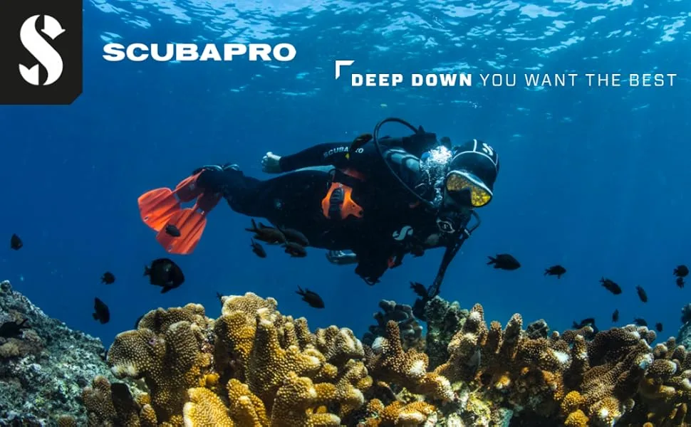 Scubapro Neoprene Mask Strap Purple - SCUBAPRO Diving Gear