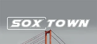 SOX TOWN Men's Moisture Wicking Breathable Performance Combed Cotton Cushion Crew Socks White 10-13 - Sox Town wool hiking hike socks