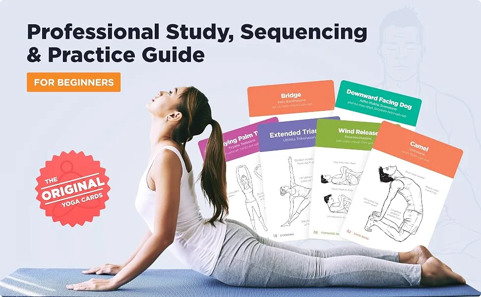 WorkoutLabs Yoga Cards  Beginner: Visual Study, Class Sequencing & Practice Guide with Essential Poses, Breathing Exercises & Meditation  Plastic Flash Cards Deck with Sanskrit - WorkoutLabs Yoga Cards