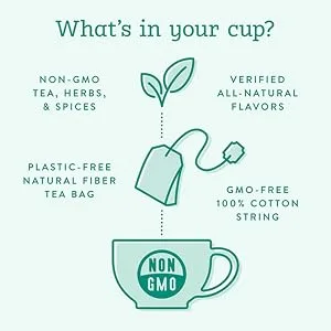 Stash Tea Moroccan Mint Green Tea - Caffeinated, Non-GMO Project Verified Premium Tea with No Artificial Ingredients, 20 Count (Pack of 6) - 120 Bags Total - Stash tea,herbal tea,black tea,green tea,tea sampler,organic tea,assorted tea,soothing,peppermint