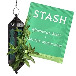 Stash Tea Moroccan Mint Green Tea - Caffeinated, Non-GMO Project Verified Premium Tea with No Artificial Ingredients, 20 Count (Pack of 6) - 120 Bags Total - Stash tea, tea bags, herbal teas, best herbal tea, tea benefits, tea leaves, tea plant, tea brands