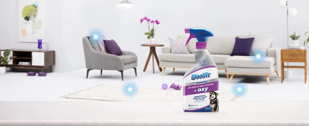 Woolite Advantage Pet Stain & Odor Remover + Oxy, 2-Pack, 3326 NEW - Advantage - woolite + oxy