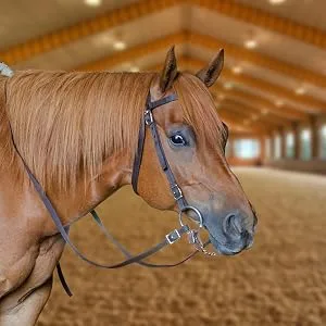 Tahoe Tack Plain Double Layer Nylon Headstall with Reins, Multiple Colors & Sizes Available Pink Full - Great for Trails