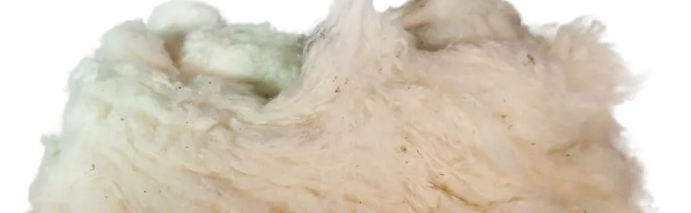Grown in The USA Raw Cotton Stuffing/Batting. (1lb) - cotton