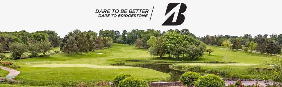 Bridgestone E6 Speed Golf Balls (One Dozen) - product information 5