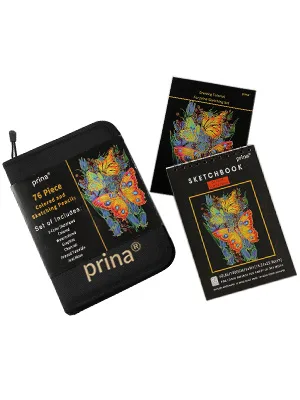 Prina 76 Pack Drawing Set Sketching Kit, Pro Art Sketch Supplies with 3-Color Sketchbook, Include Tutorial, Colored, Graphite, Charcoal, Watercolor & Metallic Pencil, for Artists Adults Teens Beginner - 76 Pack Drawing Set