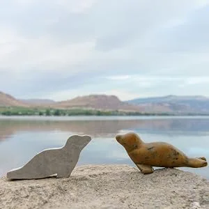 Studiostone Creative Seal Soapstone Sculpture Stone Carving DIY Arts Crafts Kit Kids Adults - Raw stone and seal soapstone carving sculpture on rock by ocean with mountains