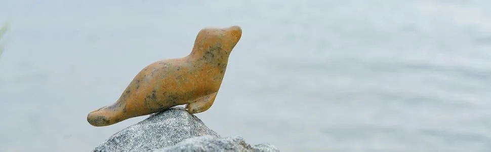 Studiostone Creative Seal Soapstone Sculpture Stone Carving DIY Arts Crafts Kit Kids Adults - Soapstone seal sculpture on rock by ocean