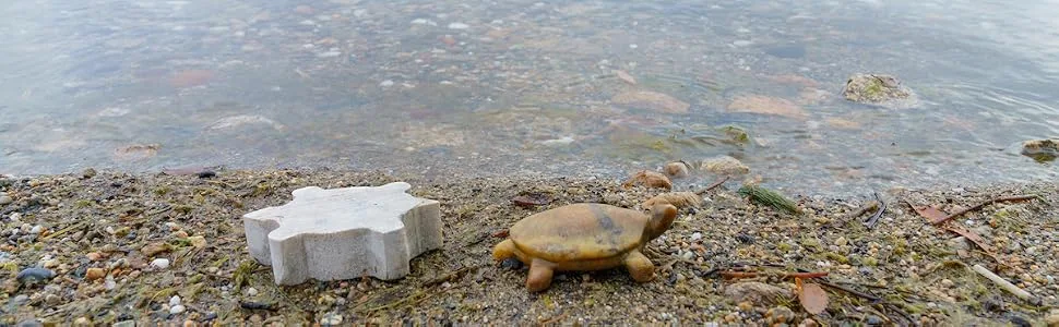 STUDIOSTONE CREATIVE Turtle Soapstone Sculpture Stone Carving DIY Arts and Crafts Kit for Kids Adults - Raw stone and carved soapstone turtle sculpture on beach by lake and mountains