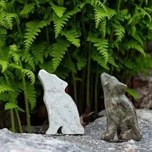 STUDIOSTONE CREATIVE Wolf Soapstone Sculpture Stone Carving DIY Arts Crafts Kit Kids Adults - Wolf soapsone raw stone and carved sculpture in nature