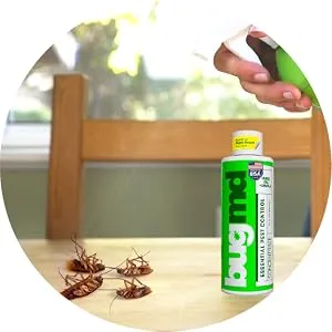 BugMD Pest Control Essential Oil Concentrate 3.7 oz (2-Pack), Plant-Powered Bug Spray Quick Kills Flies, Ants, Fleas, Ticks, Roaches, Mosquitoes 2 Concentrates - bugmd pest concentrate