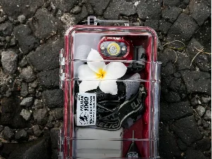 Pelican 1060 Micro Case - for iPhone, GoPro, Camera, and More (Desert Tan) - 1060 Micro Case