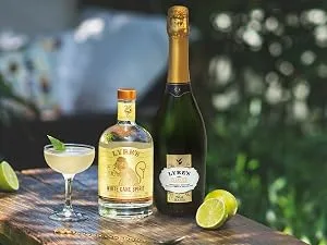 Lyre's Classico Grande - Non Alcoholic Spirits | Sparkling Wine Style | Premium | 25.4 Fl Oz - old cuban