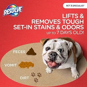 Resolve Pet Specialist Easy Clean Brushing Kit includes Heavy Traffic Foam Carpet Cleaner, 22oz - Removes tough set-in stains and odors