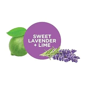 Sapadilla Rosemary + Peppermint Dish Soap, Hand Soap & Countertop Cleanser, Variety Pack 16 Ounces - Lavender and lime essential oil scent