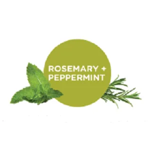 Sapadilla Rosemary + Peppermint Dish Soap, Hand Soap & Countertop Cleanser, Variety Pack 16 Ounces - rosemary and peppermint essential oil scent