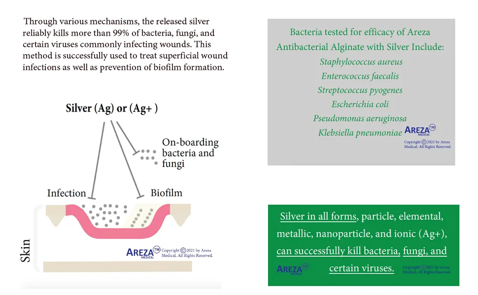Silver Alginate (Antibacterial Alginate with Silver) 4.25"x4.25" Sterile 10 Wound Dressings Per Box (1 Box) Areza Medical - product information 8