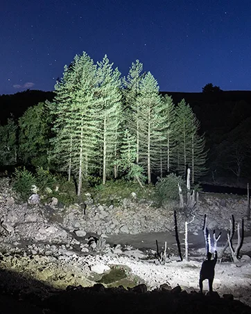 Nitecore Tip SE Black Keychain Flashlight, 700 Lumen USB-C Rechargeable EDC with LumenTac Keychain Light - person walking through a forest illuminating her way with a flashlight