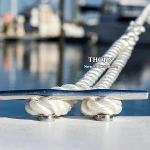 Thorn Boat Cleat Open Base 316 Stainless Steel Dock Deck Cleats 8-in,2pack - open base cleats