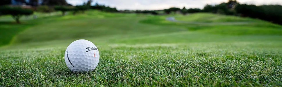 Titleist Velocity Golf Balls White - Velocity Quote