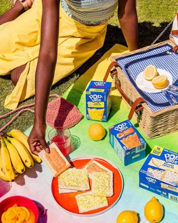 Pop-Tarts, Breakfast Toaster Pastries, Variety Pack, Proudly Baked in the USA, 54.1oz Box (16 Count) - Pop-tart picnic