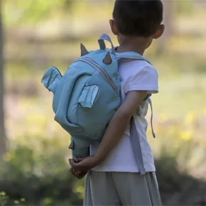 CFX Toddler Backpack with Safety Handle and Leash,Outing Preschool,Dinosaur - CFX Toddler Backpack with Safety Handle and Leash,Outing Preschool,Dinosaur