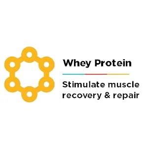 GU Energy Roctane Ultra Endurance Protein Recovery Drink Mix, 10 Single-Serving Packets, Chocolate Smoothie - Protein