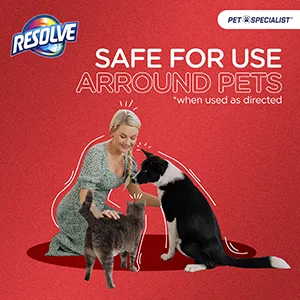 Resolve Pet Specialist Carpet Cleaner, Stain Remover and Odor eliminator trigger and refill, Floor and Upholstery Cleaner, 92 fl oz (32fl oz trigger and 60 fl oz refill bottle) Bundle - safe for use around pets