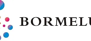 BORMELUN Clear Totes Bag Women - Large Work Transparent Shoulder Handbag Black - BORMELUN