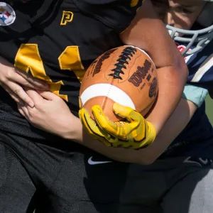 WILSON NFL All Pro Composite Football Junior - product information 2