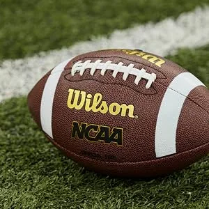 Wilson NCAA Composite Football Pee Wee - product information 2