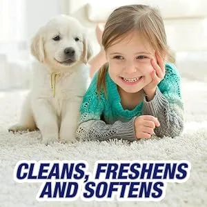 Resolve Dual Pack High Traffic Carpet Foam, 44 oz (2 Cans x 22 oz), Cleans Freshens Softens & Removes Stains - carpet foam cleaner clean cleaners shampooer cleaning machines sweeper spray pet powder high traffic