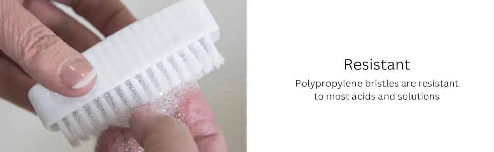 SPARTA Plastic Hand Brush, Nail Brush With Polypropylene Bristles For Kitchens, Homes, Restaurants, 3.5 Inches, White, (Pack of 24) Dual Sided White 24 - hand brush