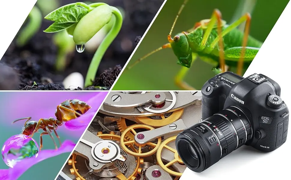 VILTROX DG-C Auto Focus Macro Extension Tube Set for Canon EOS EF & EF-S Mount 5D2 5D3 5D4 6D 7D 70D T7 T6i T5i - DG-C