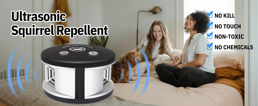 Careland Ultrasonic Repellers Squirrel Repellent,Mouse Repllent 360 Rodent Repellent 4-in-1 Mice epellent Plug-in Home Defense Pest Control for Indoor Use (Black) - squirrel repellent